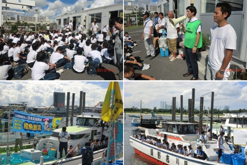 カサゴ稚魚放流