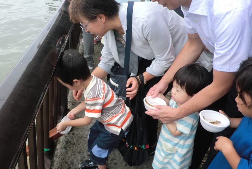 隅田川稚魚放流会