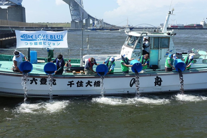 カサゴ放流