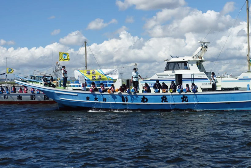 カサゴ稚魚放流