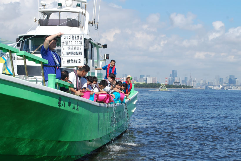 カサゴ稚魚放流