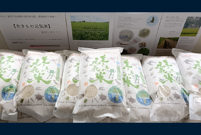 生きもの元気米